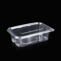 750 Gr Plastik Kapakli Sizdirmaz Kap 100 Adet