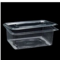 1000 Gr Plastik Kapakli Sizdirmaz Gida Tasima Kabi 100 Adet