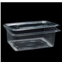 1000 Gr Plastik Kapakli Sizdirmaz Gida Tasima Kabi