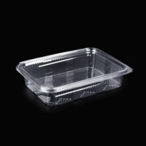 1250 Gr Plastik Kapakli Sizdirmaz Gida Tasima Kabi