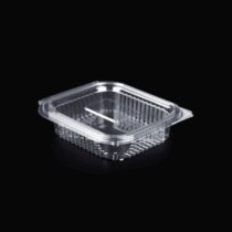 150 Gr Plastik Kapakli Sizdirmaz Gida Tasima Kabi 2