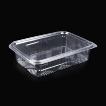 1500 Gr Plastik Kapakli Sizdirmaz Gida Tasima Kabi