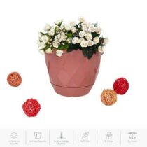 4 No Yakamoz Saksi Tk K454 2