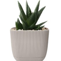 4 No mercan kare saksı 4 litre K384 – dayanıklı plastik kare çiçek saksısı