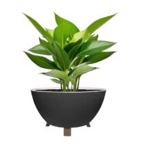 2.2 Litre Polo Ayaklı Saksı Saksı  1 No